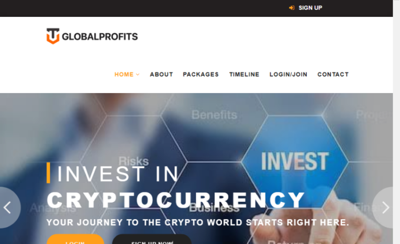 Globalprofits Review